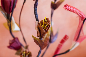 Fiori e Natura